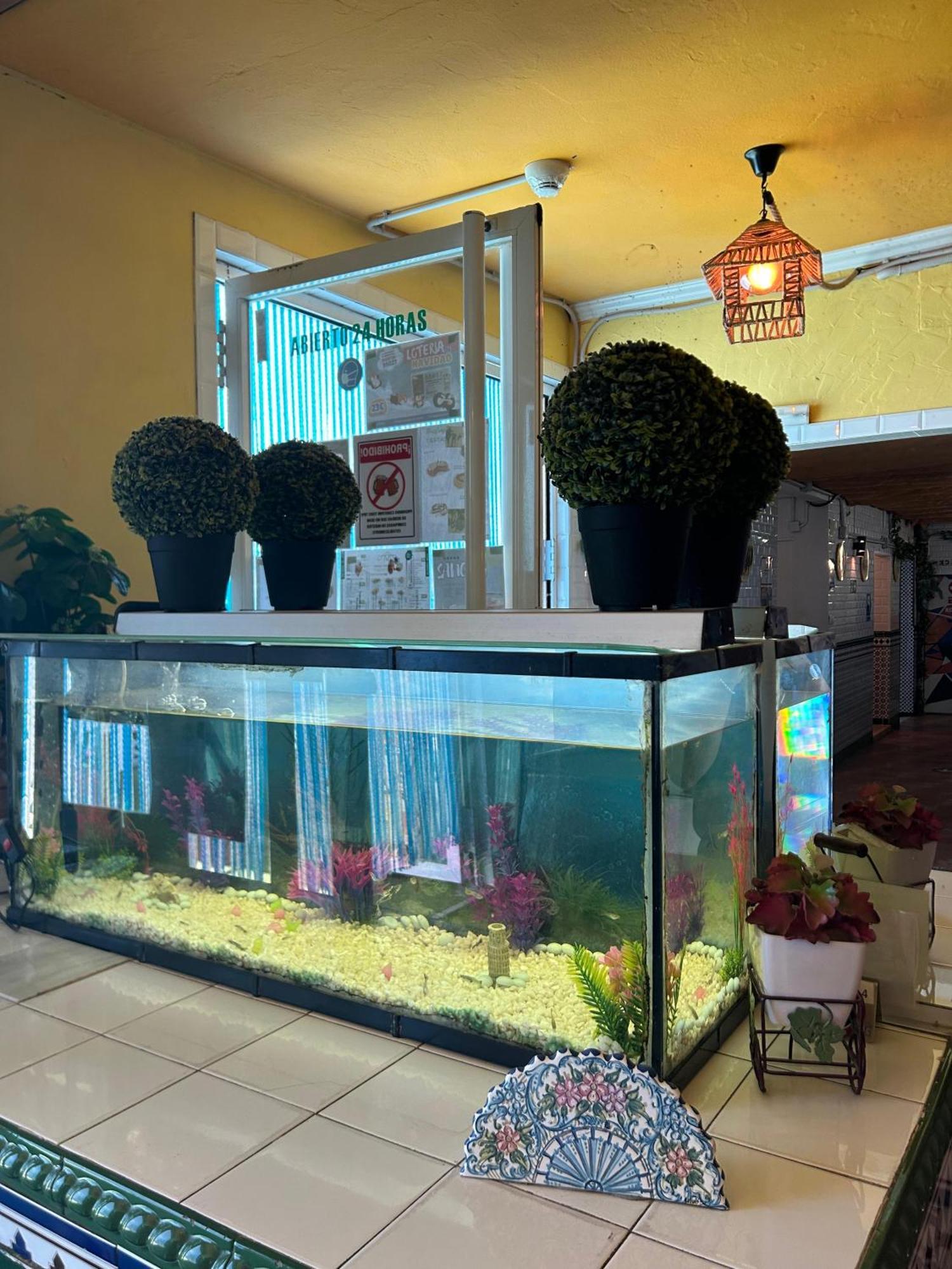 Hostal Avenida Andalucia - Solo Adultos Σεβίλλη Εξωτερικό φωτογραφία